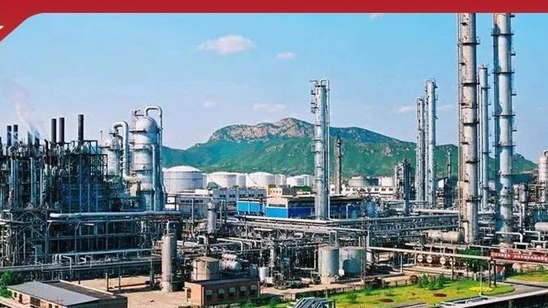 建筑高分子材料市场，谁在定义性能天花板