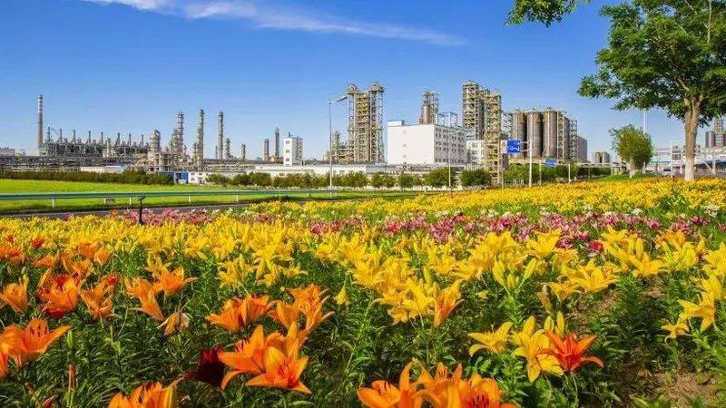 胶粘剂检测规范：国家标准与行业实践解析