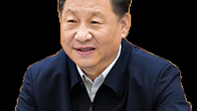 工业添加剂报价单背后的考量因素**